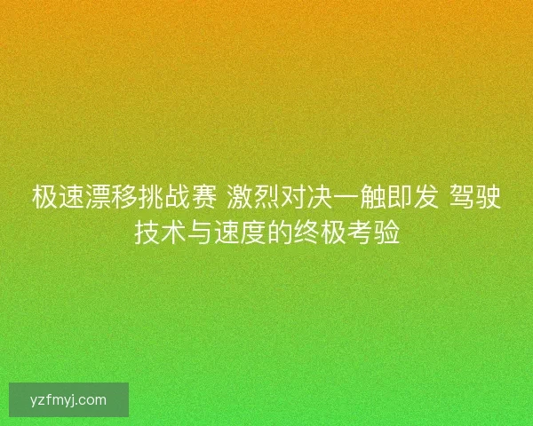 极速漂移挑战赛 激烈对决一触即发 驾驶技术与速度的终极考验