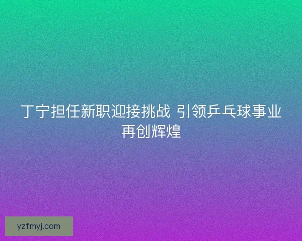 丁宁担任新职迎接挑战 引领乒乓球事业再创辉煌